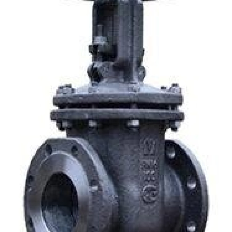 Засувка 30ч6бр  Ду 100